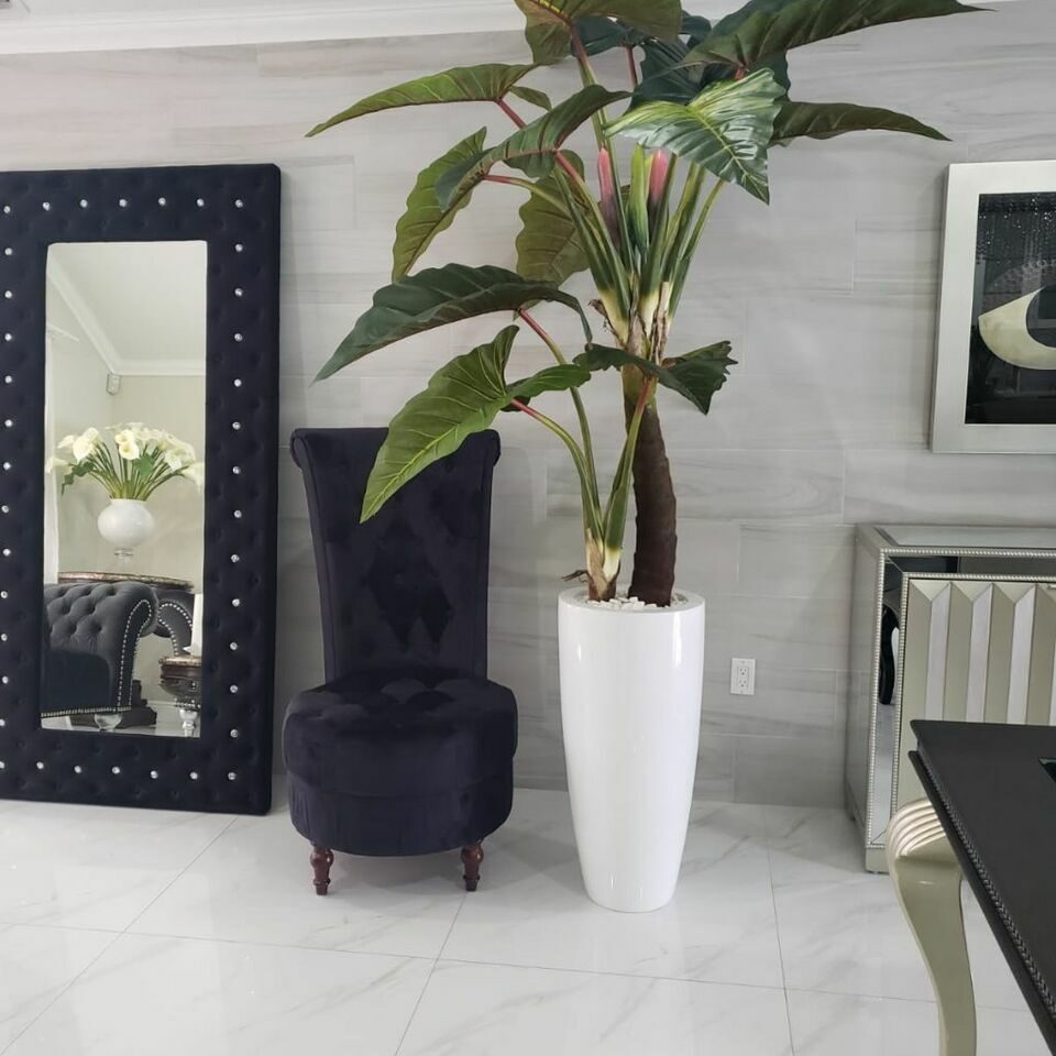 Grand Alocasia Luxe in Gloss Ceramic Planter