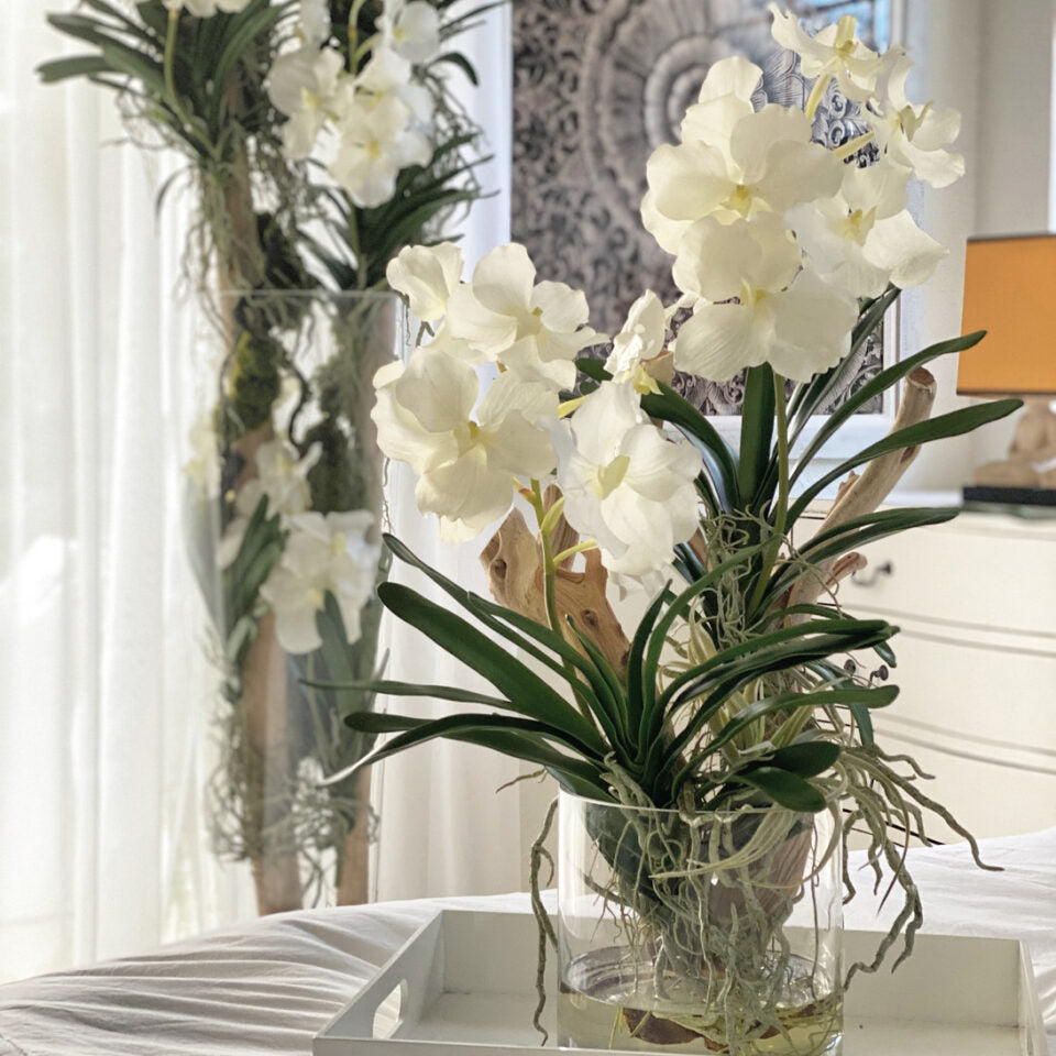 White Orchid & Natural Driftwood Arrangement in Clear Glass Vase