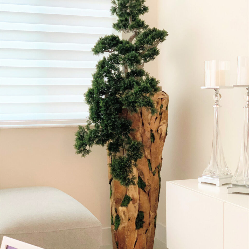 Majestic Wilderness Bonsai in Natural Reclaimed Wood Sculpture Vase