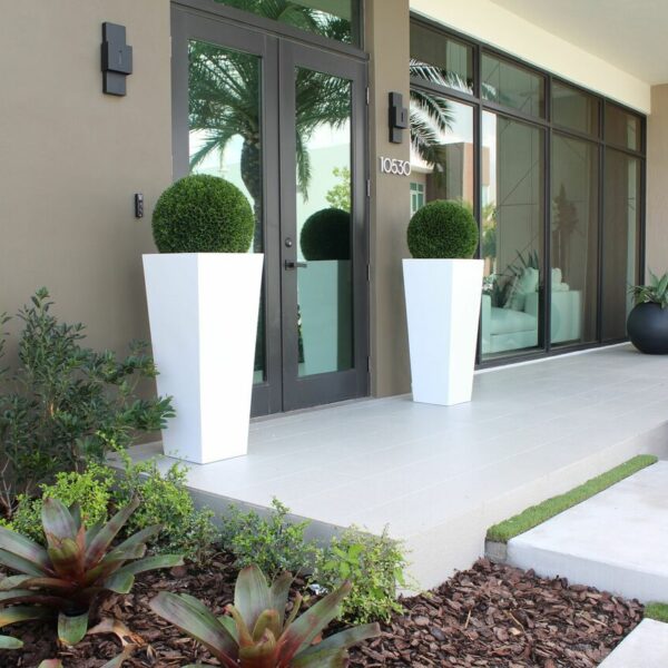 Evergreen Topiary Sphere in Modern White Tapered Planter