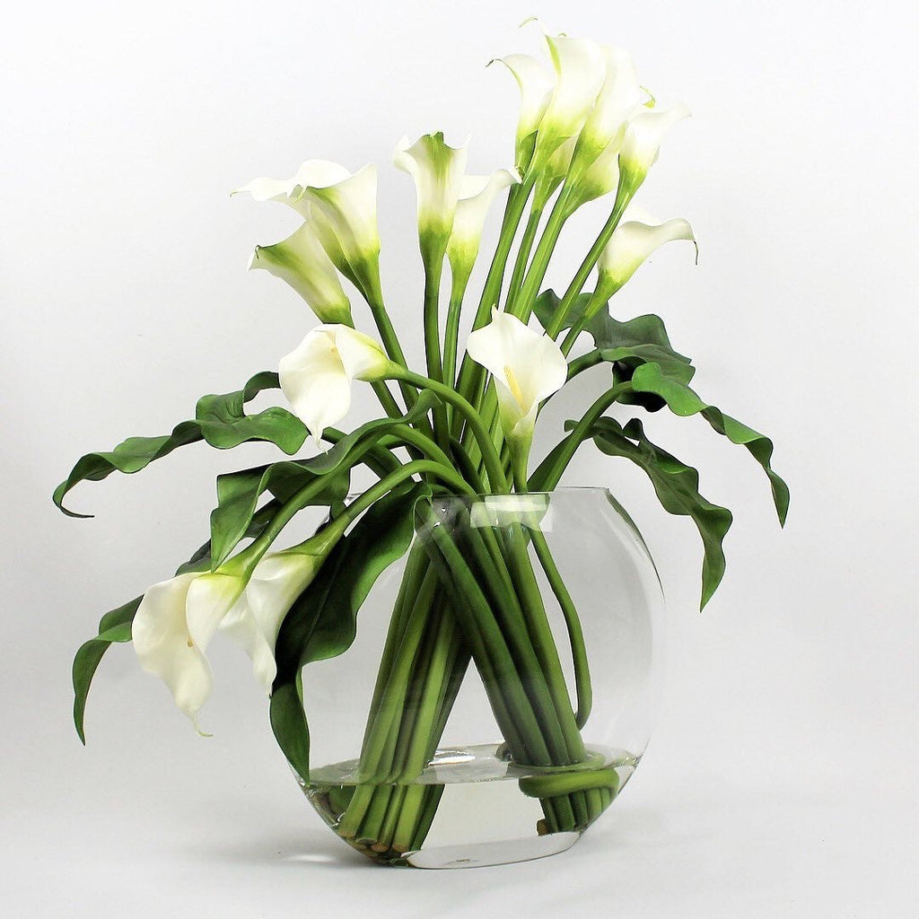 White Calla Lilies in the Moon Vase
