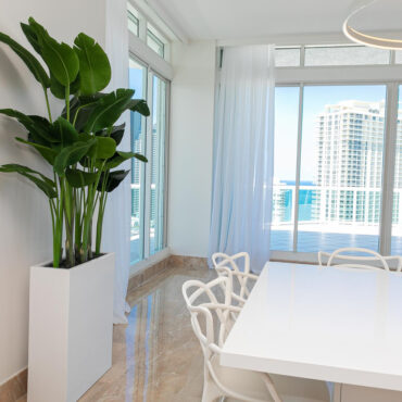 Tall Bird of Paradise in Minimalist White Pedestal Planter