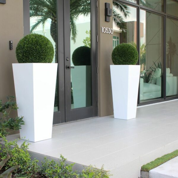 Evergreen Topiary Sphere in Modern White Tapered Planter