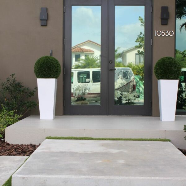 Modern Topiary Sphere in Tall White Tapered Planter