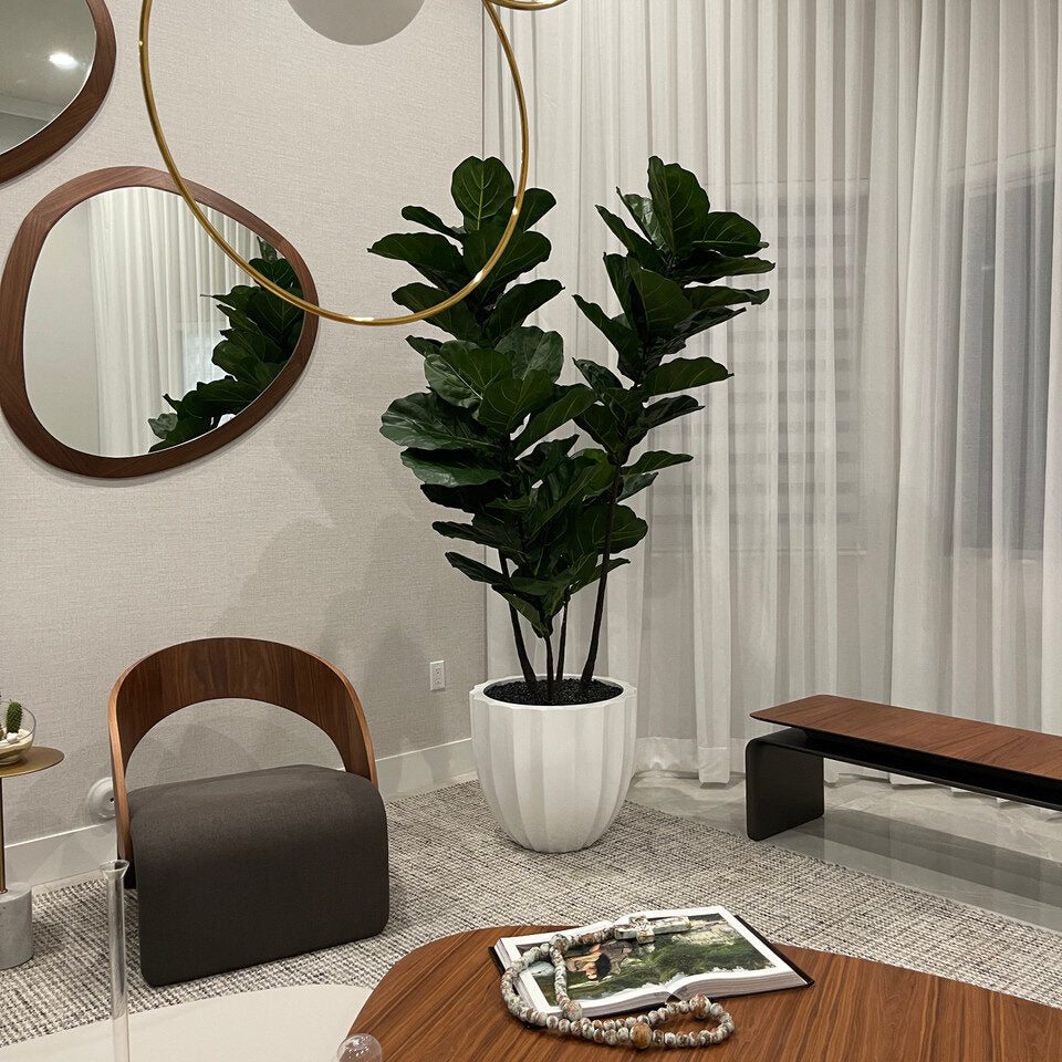 Luxury Artificial Fiddle Leaf Fig – White Carved Vase Edition