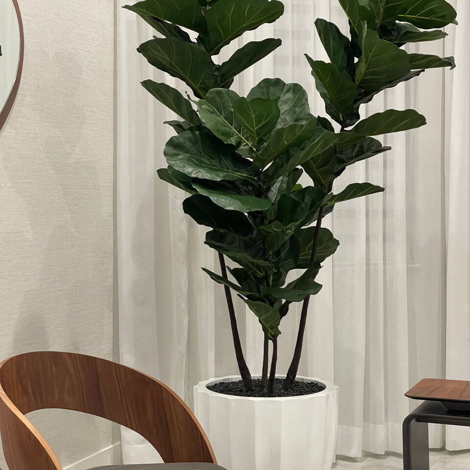 Luxury Artificial Fiddle Leaf Fig – White Carved Vase Edition