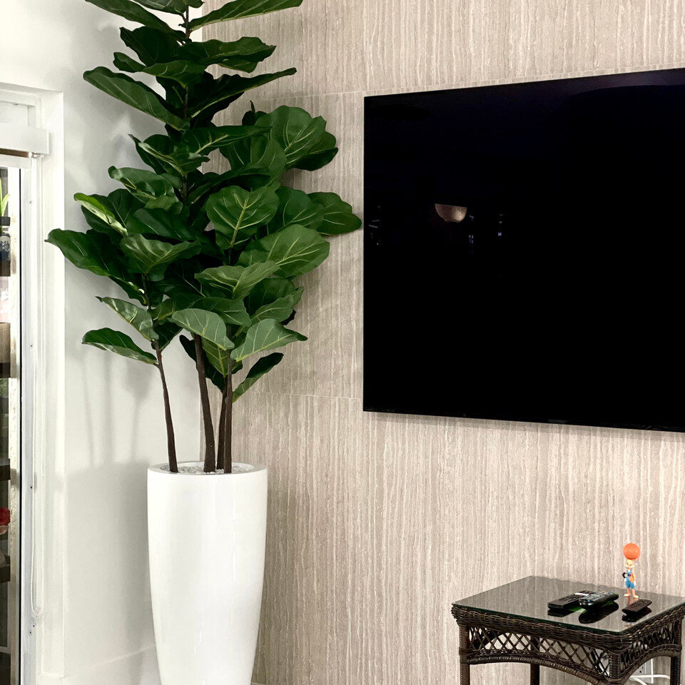 Grand Fiddle Leaf Fig Tree in White High-Gloss Vase
