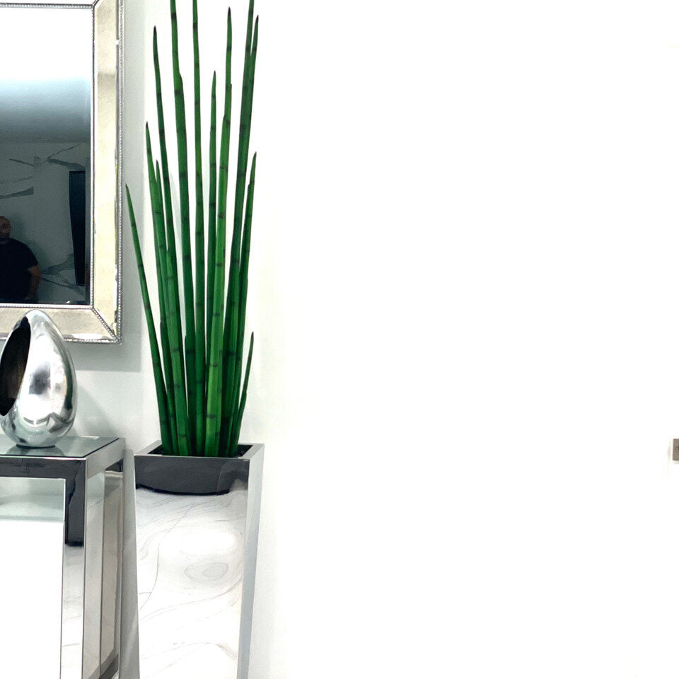 Tall Sansevieria Reed Arrangement in Glossy White Pedestal Planter