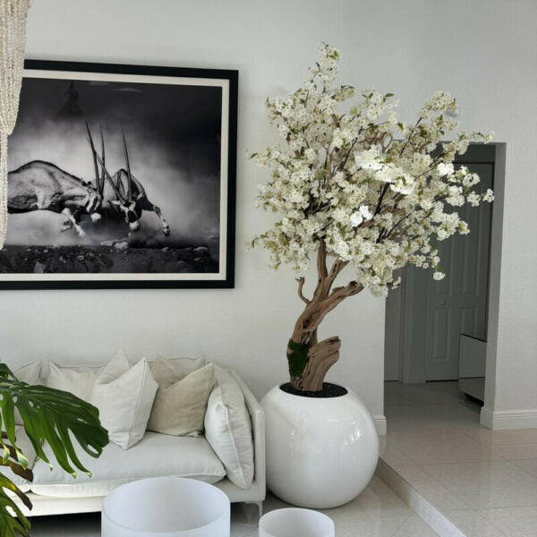 Premium Artificial White Cherry Blossom Tree – Round Gloss White Vase Edition