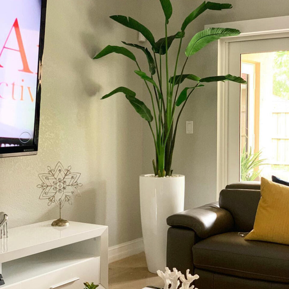 Tall Bird of Paradise in Gloss White Tapered Vase