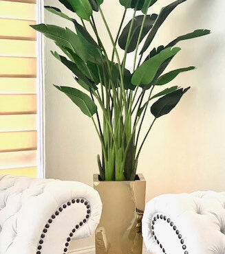 Bird of Paradise in Champagne Gold Square Planter