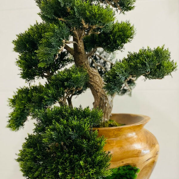 Zen Heritage Juniper Bonsai in Natural Wood Vase