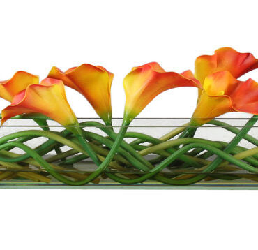 Mango Callas Glass Plate Planter