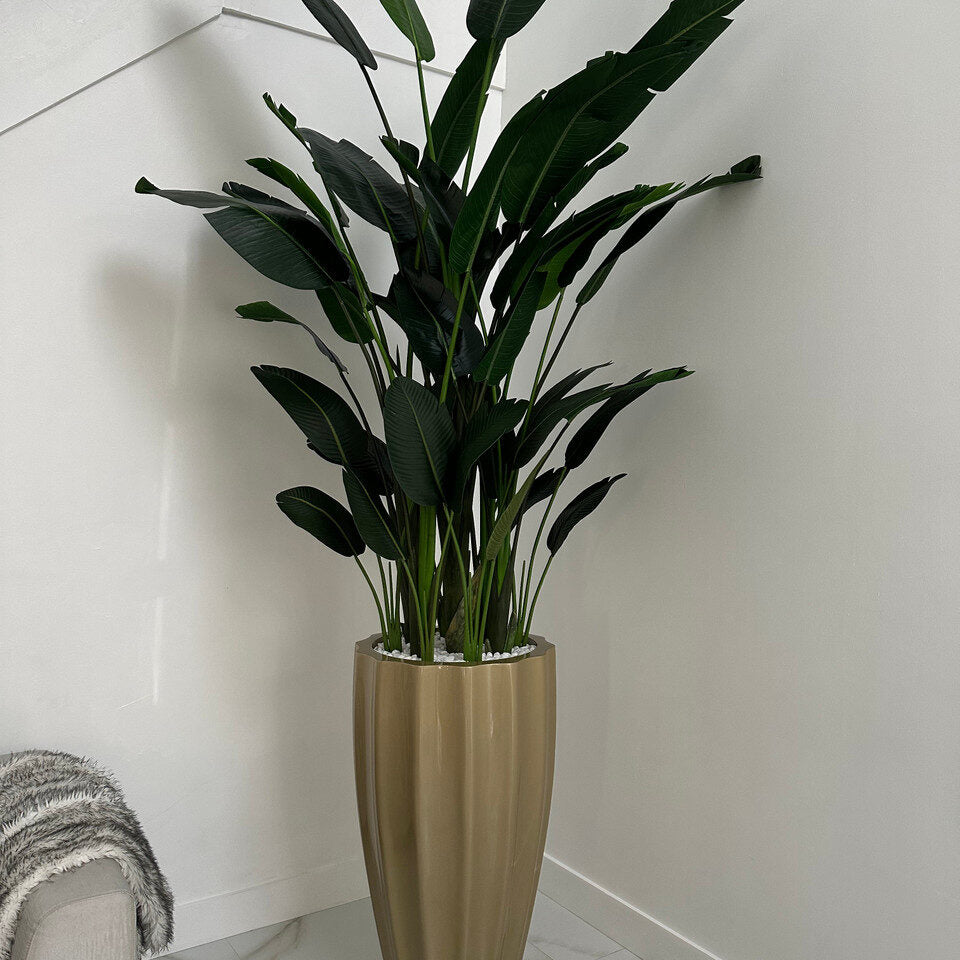 Birds of Paradise in San Jose Fluted Planter – Champagne