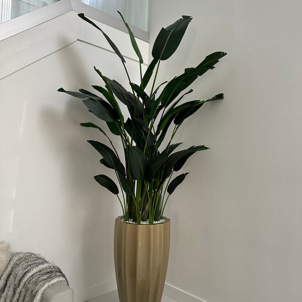 Birds of Paradise in San Jose Fluted Planter – Champagne