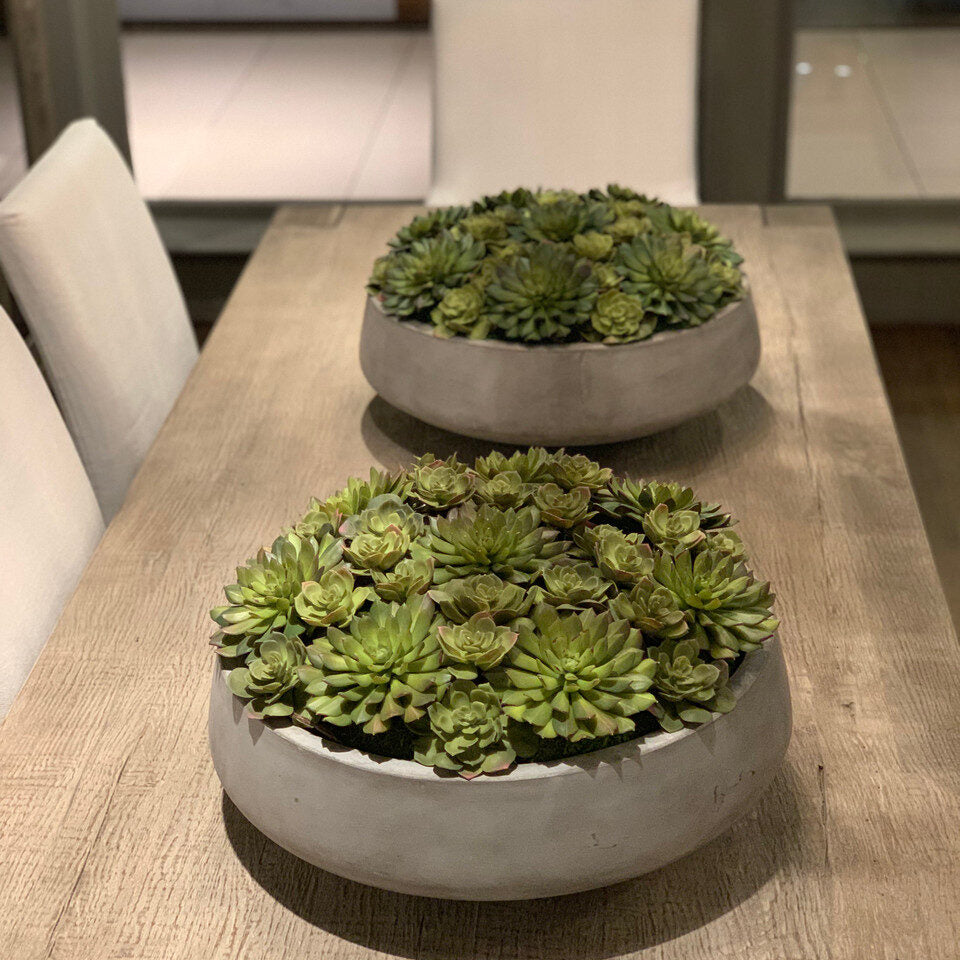 Artificial Succulent Plant