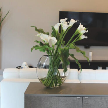 White Calla Lilies in the Moon Vase