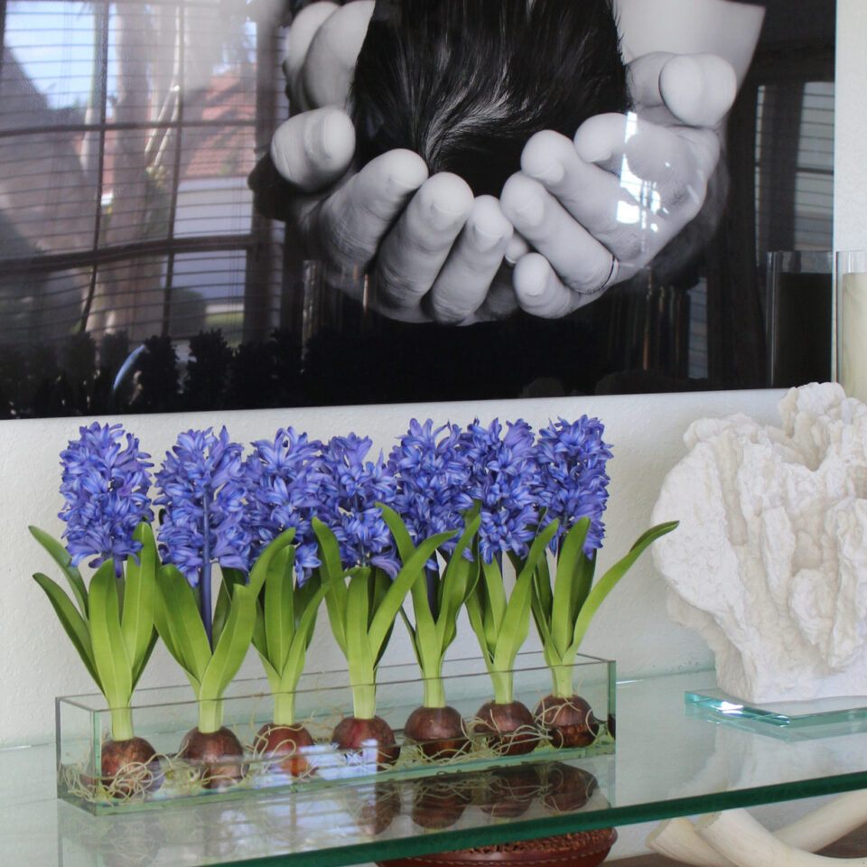 Blue Hyacinths Glass Plate Planter