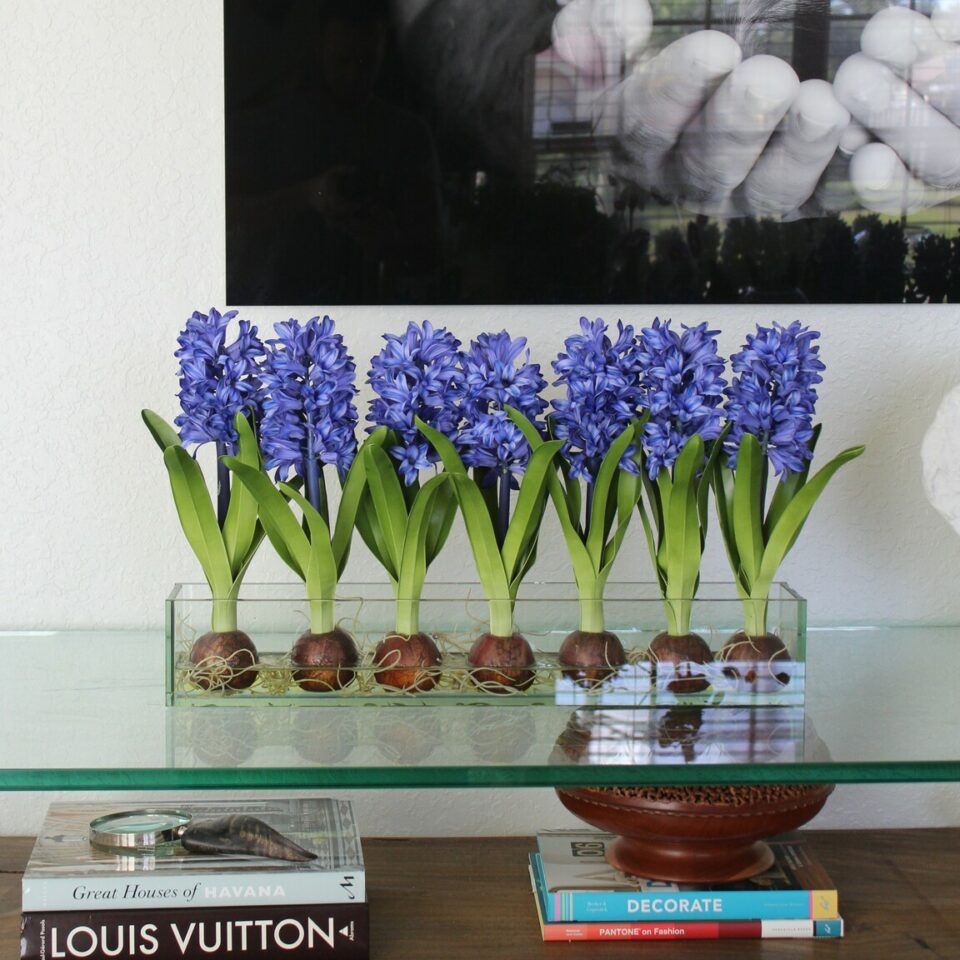 Blue Hyacinths Glass Plate Planter