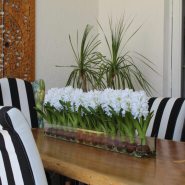 White Hyacinths Glass Plate Planter