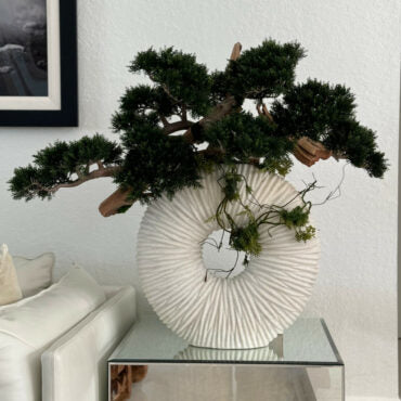 Contemporary Bonsai Art Sculpture in Textured White Circle Vase