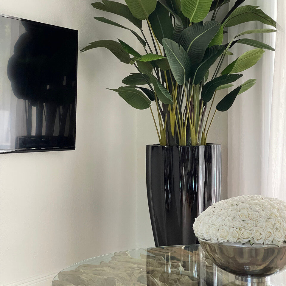 Bird of Paradise in San Jose Fluted Planter – Glossy Black