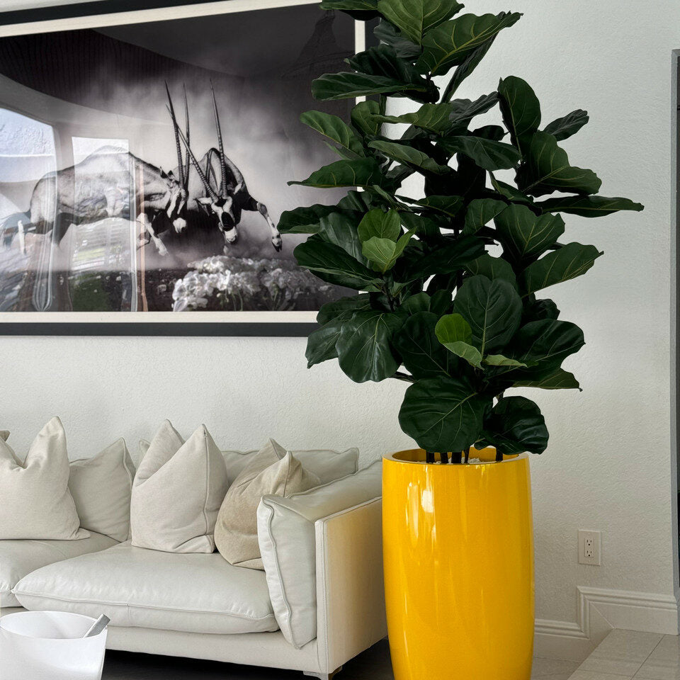 Luxury Artificial Fiddle Leaf Fig – Tall Gloss Navy Vase Edition