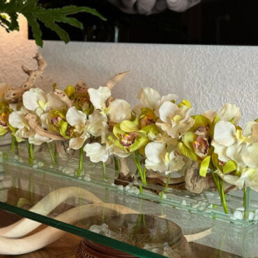 White Vandas and Green Cymbidiums in Casa Moderna