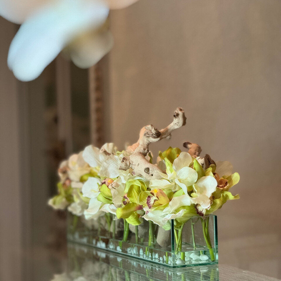 White Vandas and Green Cymbidiums in Casa Moderna