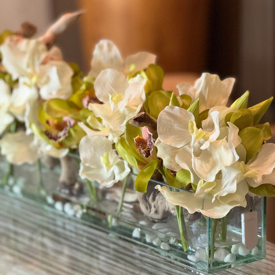 White Vandas and Green Cymbidiums in Casa Moderna