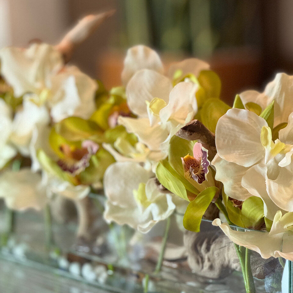 White Vandas and Green Cymbidiums in Casa Moderna