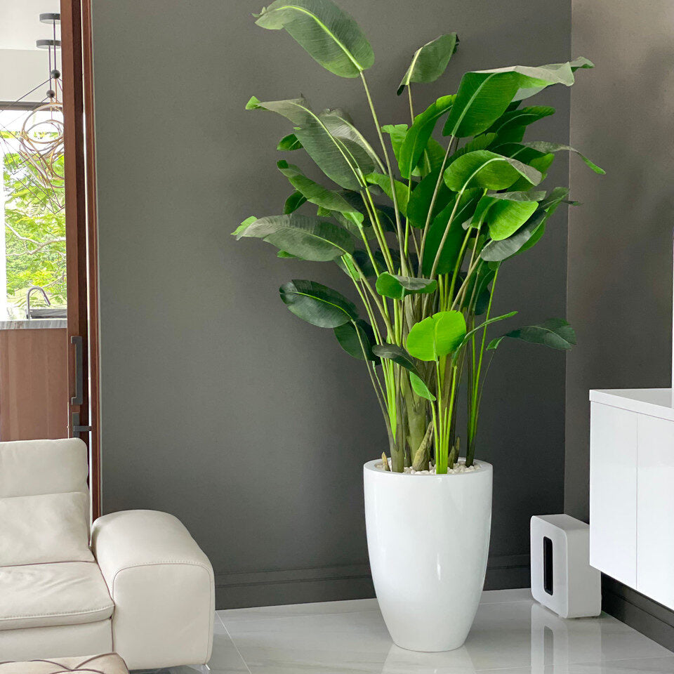 Tropical Bird of Paradise Arrangement in Glossy White Tall Vase