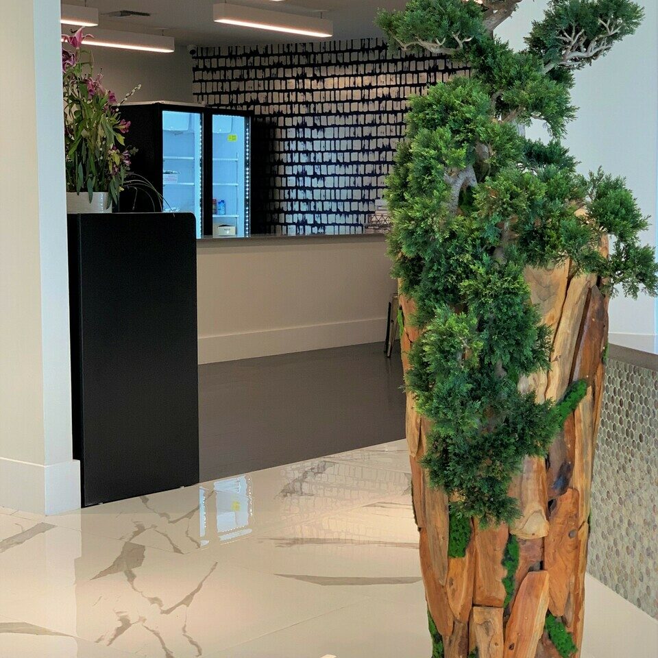 Majestic Wilderness Bonsai in Natural Reclaimed Wood Sculpture Vase