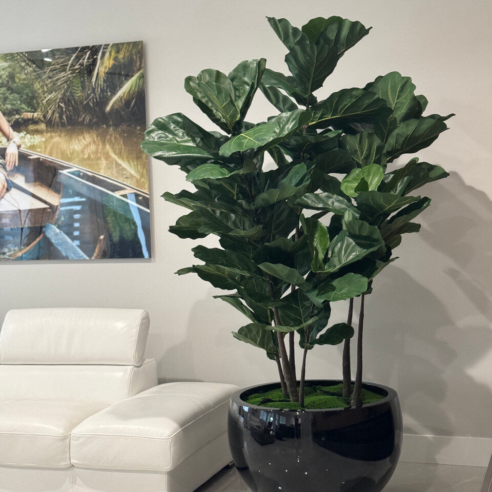 Luxury Artificial Fiddle Leaf Fig – Black Gloss Sphere Vase Edition