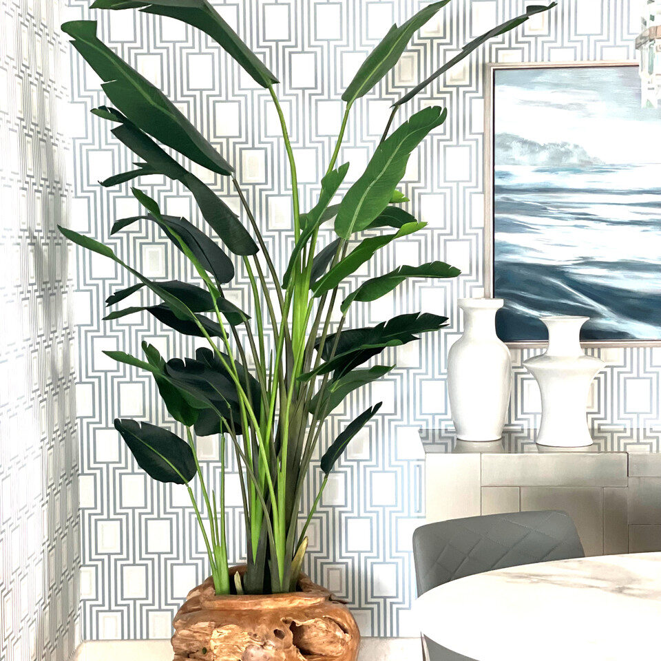 Tropical Bird of Paradise in Natural Root Base Vessel