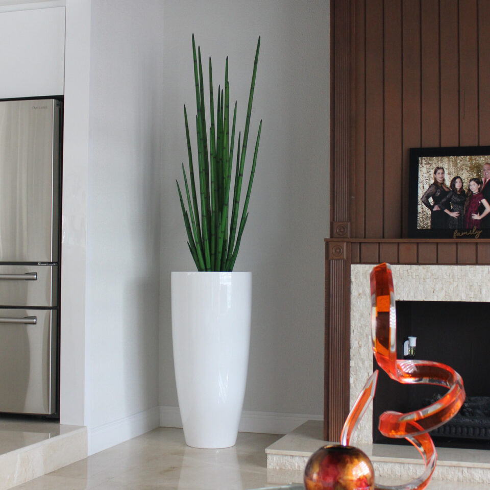 Tall Contemporary Bamboo Arrangement in Gloss White Planter