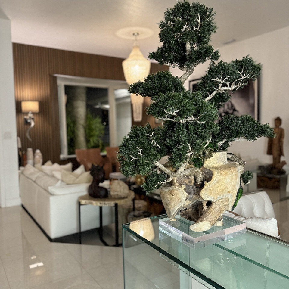 Imperial Juniper Bonsai Sculpture in Natural Carved Wood Vessel