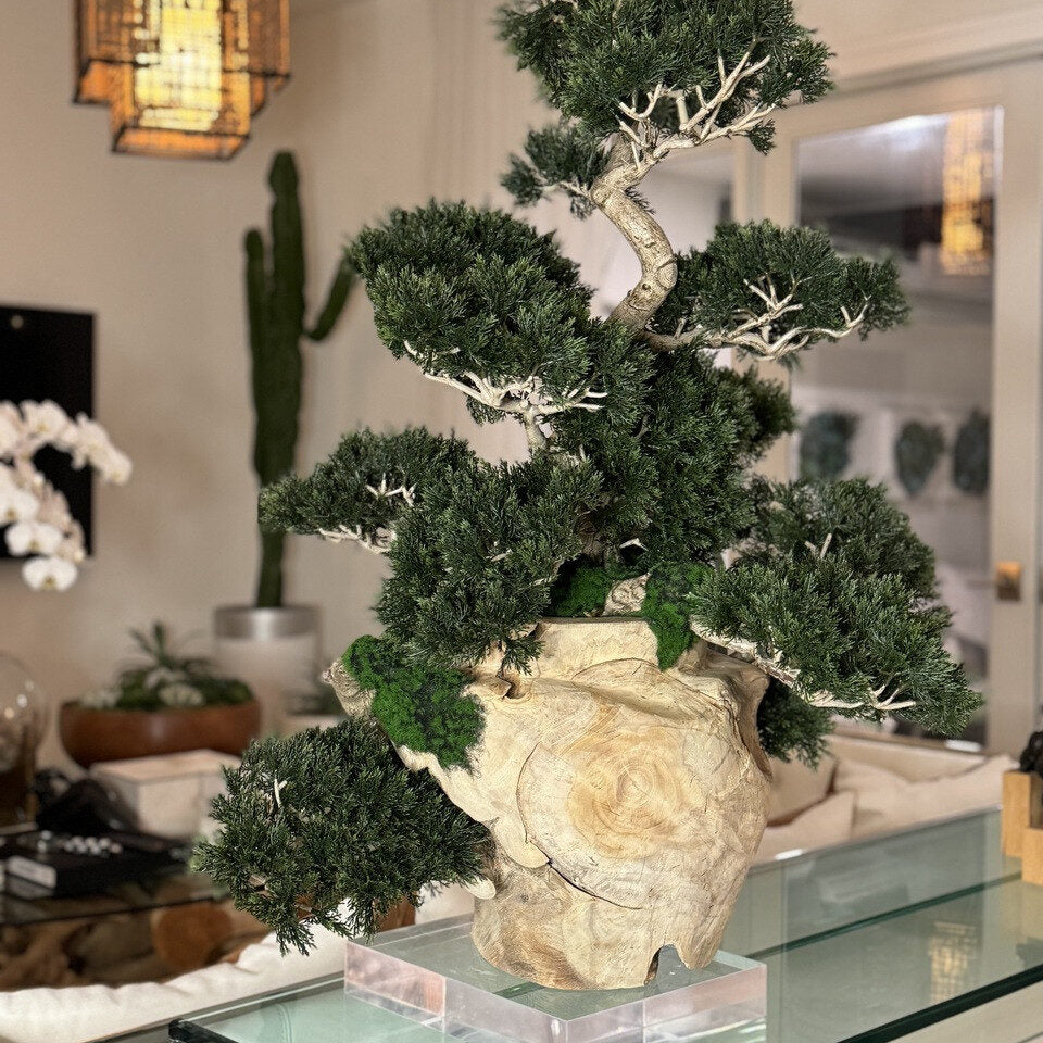 Imperial Juniper Bonsai Sculpture in Natural Carved Wood Vessel