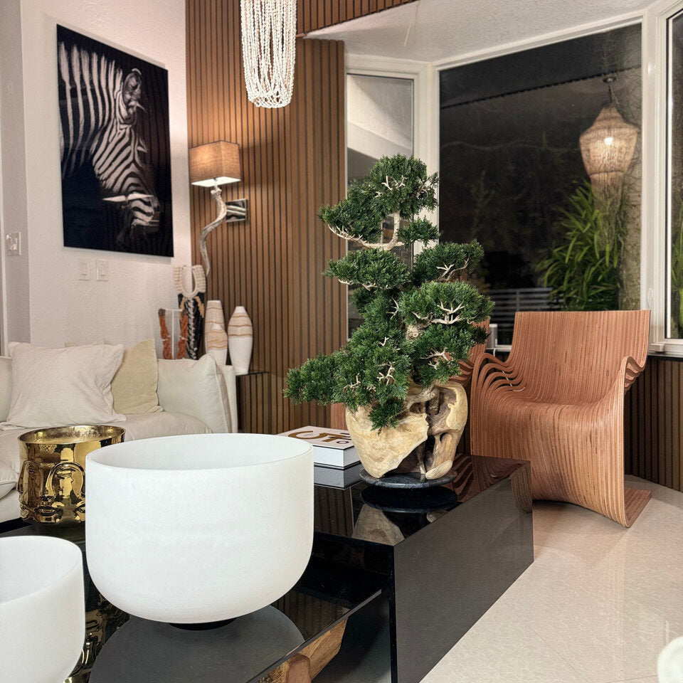 Imperial Juniper Bonsai Sculpture in Natural Carved Wood Vessel