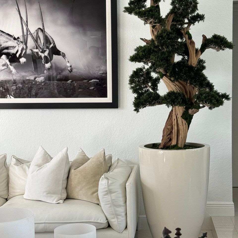 Luxury Artificial Ancient Bonsai Tree – Tall Gloss Ivory Vase Edition