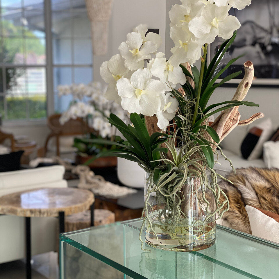 White Orchid & Natural Driftwood Arrangement in Clear Glass Vase
