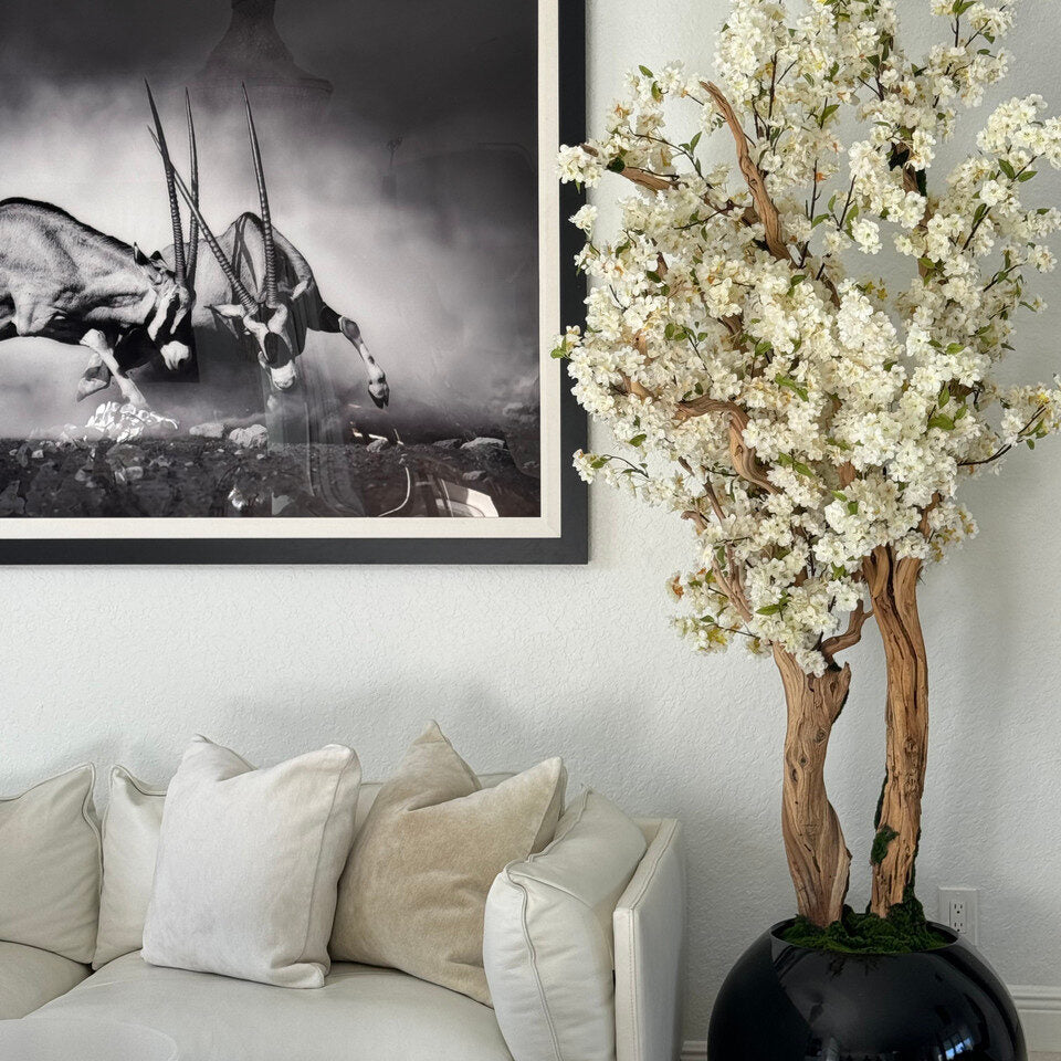 Luxury Artificial White Cherry Blossom Tree – Black Gloss Round Vase Edition