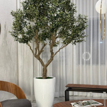 Luxury Artificial Olive Tree – Tall White Planter Edition
