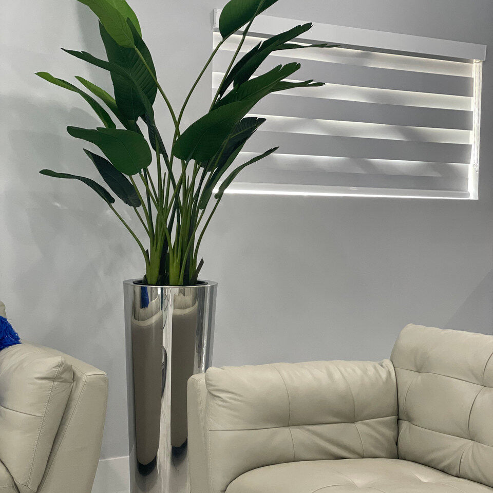 Bird of Paradise in Stainless Cone Planter