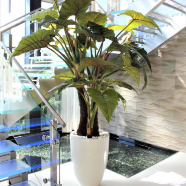 Tropical Elephant Ear Arrangement in Gloss White Planter