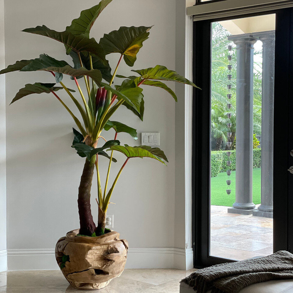Luxury Artificial Alocasia Tree – Sculpted Teak Root Planter Edition
