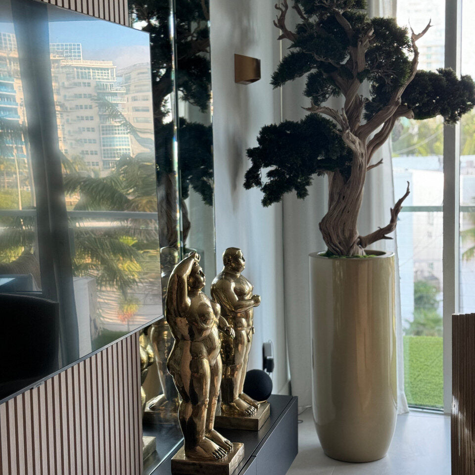 Majestic Aged Juniper Bonsai in Tall Gloss Porcelain Vase