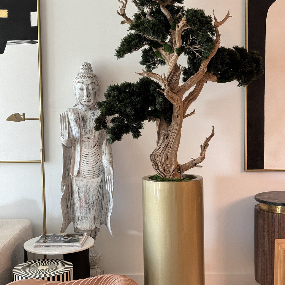 Majestic Aged Juniper Bonsai in Tall Gloss Porcelain Vase