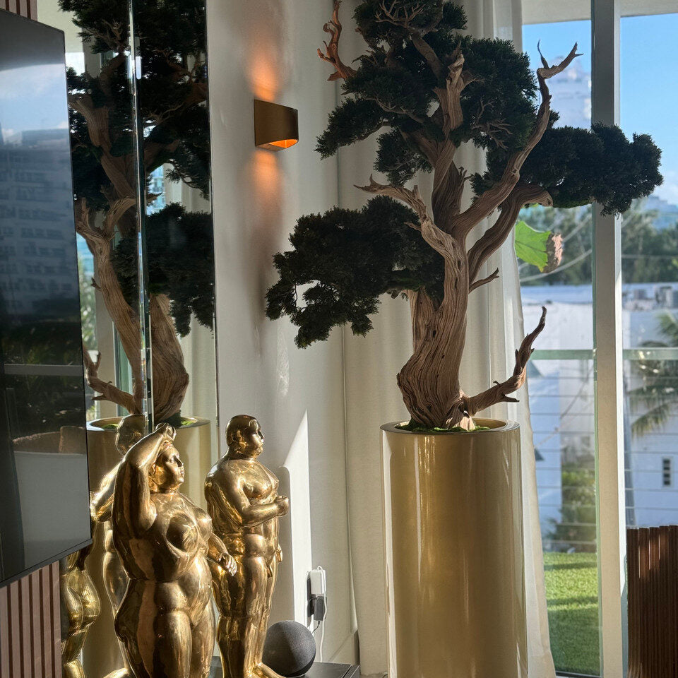 Majestic Aged Juniper Bonsai in Tall Gloss Porcelain Vase