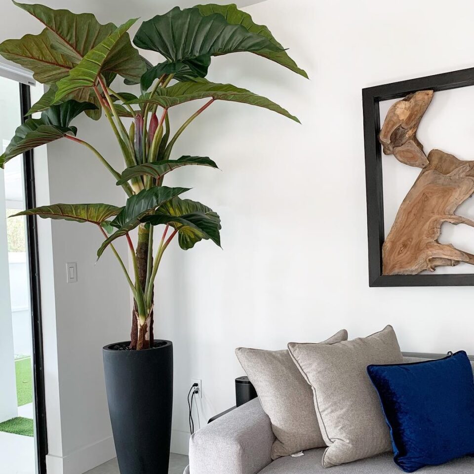 Luxury Artificial Elephant Ear Alocasia – Matte Black Tall Vase Edition